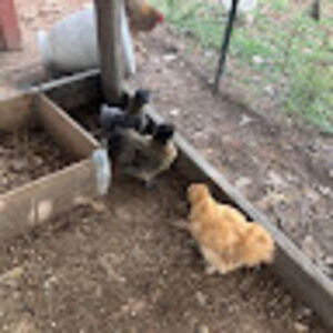 Meet your Posher, Lindsy